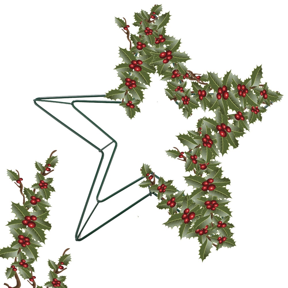 Personalizable Metal Wire Star - Wreath Form Wire review and price