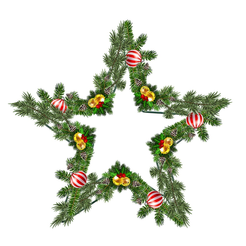 Floral Crafts Metal Wire Star  - Wreath Form Wire review and price